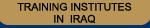 Training Institutes in Iraq