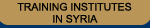 Training Institutes in Syria